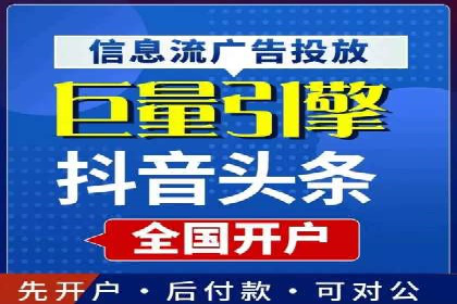 百度竞价与搜索引擎优化（SEO）结合的经典案例